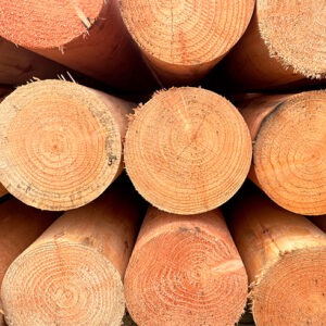 Cylinderdrejet Lærk