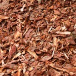 bark