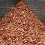 bark