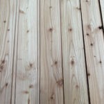 drypnæseprofil lærk