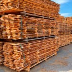 kalmarbrædder lærk