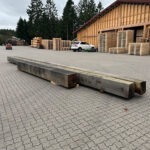 egetræ til renovering