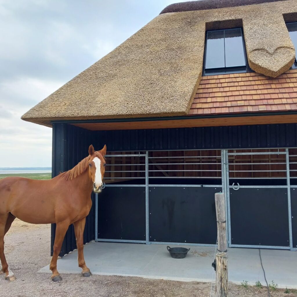 læskur